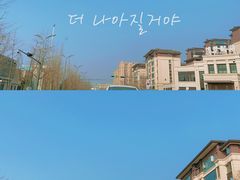-大邑李记肥肠血旺