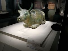 -宁夏博物馆