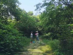-木兰云雾山
