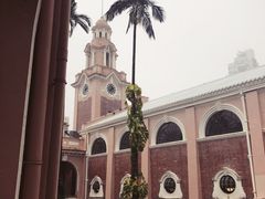 -香港大学