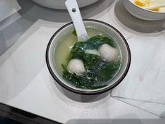 -丁老爷子苏香圆