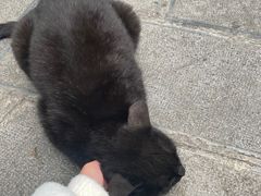 -知亘茶食