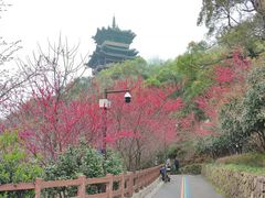 -杭州半山国家森林公园