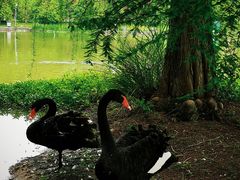 -浙江农林大学(东湖校区)