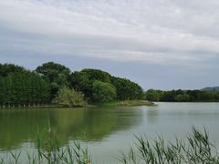 -苏州太湖国家湿地公园