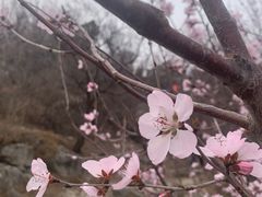 -北京鹫峰国家森林公园