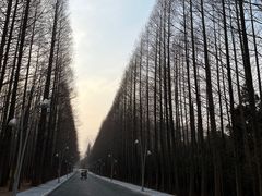 -日照海滨国家森林公园