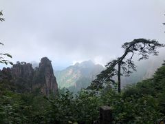 -黄山风景区