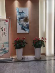 -雅曼妮spa美容养生