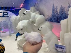 -宁波冰雪大世界(北仑区)