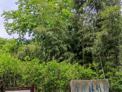 -镇江市南山风景名胜区竹林景区