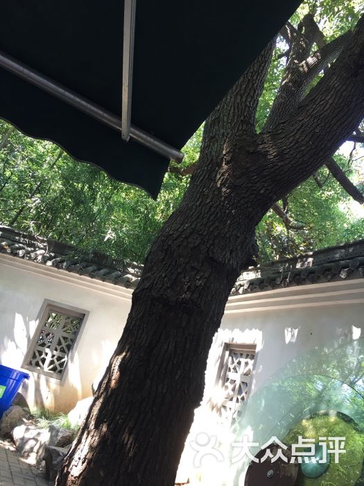 图片-合肥美食-大众点评网