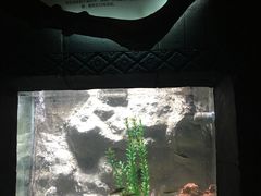 -苏州海洋馆
