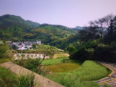-灵山景区梯田