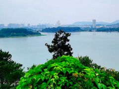 -九华山公园