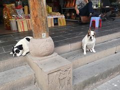 -稻香村(文殊院旗舰店)