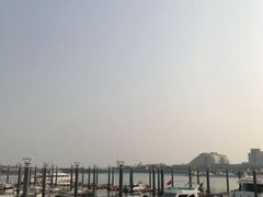 -渡海小渔村.老辈日照菜