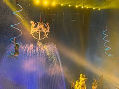 -灵玲国际马戏城
