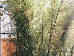 -章记正宗南岗鱼蛋火锅