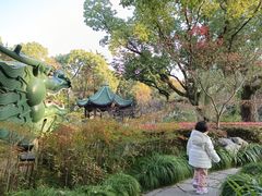 -申粤轩酒楼·三十年粤菜经典(丁香花园店)