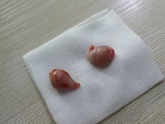 -邦泰·异宠动物医院
