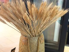 -little hlk 小饿龙(浦东嘉里城店)
