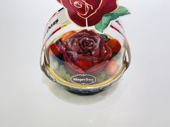 -哈根达斯(武汉天地店)