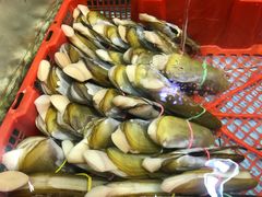 -渔民新村(番禺总店)