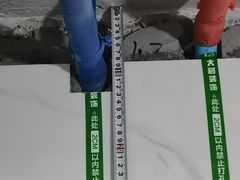 -大树装饰·十年本土家装