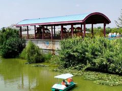 -凤凰欢乐大世界