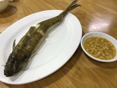 -长平肥姐白粥·海鲜打冷