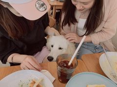 -尤加利咖啡馆