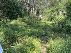 -长春市南湖公园