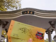 -茶颜悦色(岳麓山顶店)