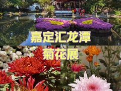 -汇龙潭