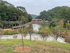 -广州市帽峰山景区