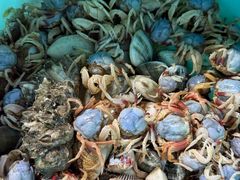 -有间冰室(侨港风情街店)