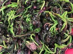 -月圆霖特色农家乐
