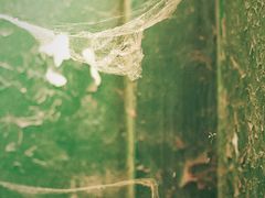 -济南轻骑摩托车有限公司(和平路)