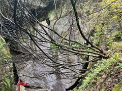 -秦岭终南山世界地质公园翠华山景区