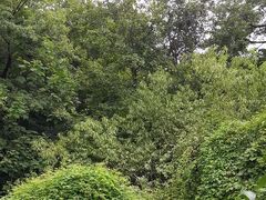 -敬亭山风景名胜区