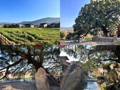 -福建土楼(南靖)景区