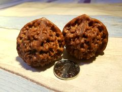 -天雅古玩城