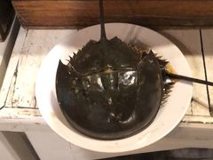 -芭提雅Amporn Seafood自助餐厅