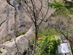 -崂山巨峰游览区