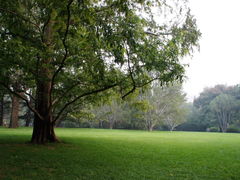 -紫竹院公园冰场