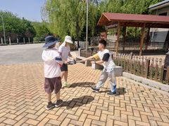-铜川市金锁关石林