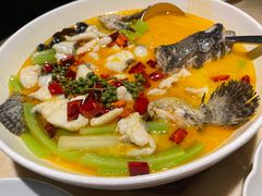 鲜花椒龙胆鱼-上饍·中国厨房(建发JFC品尚中心店)