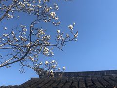 -枫桥景区