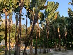 -深圳国际园林花卉博览园